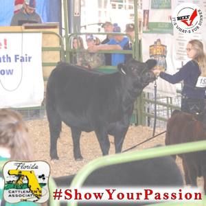 Meet your Posher, Kylie